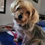 Shirley Sutherland - Facebook