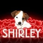 shirley sutherland - @sutherland8029 - Instagram