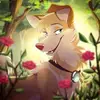 shirleysutherland - @shirleysutherland - TikTok
