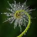 Shirley Thacker - Facebook