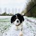 Shirley Thorne - Facebook