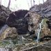 Shirley Miller Wildflower Trail - Facebook