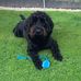 Shirley Truscott - Facebook