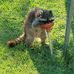 Shirley Twitchell - Facebook