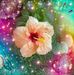 Shirley Waldron - Facebook
