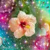 shirleywaldron25 - @shirleywaldron25 - TikTok