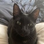 Shirley Wall - @shirley.wall - Instagram