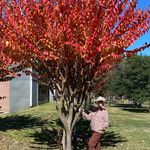 Shirley Passmore Warnock - @shirleywarnock - Instagram