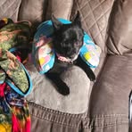 Shirley Wayne - Facebook