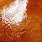 Shirley Wayne - @exibwife - Instagram