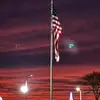 wayne shirley - @wayne.shirley1 - TikTok