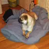 shirleyweaver85 - @shirleyweaver85 - TikTok