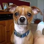 Shirley Wick Webber - @shirleywebber281 - Instagram