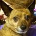 Shirley Weeks - Facebook