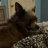 Shirley Weeks - @shirley.weeks16 - TikTok