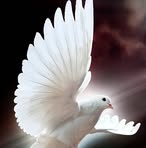 Shirley Weimer - Facebook