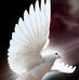 Shirley Weimer - Facebook