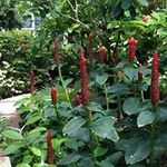Shirley wortham - @shirleywortham3151 - Instagram