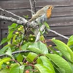 Shirley Wright - @shirleykathleenwright - Instagram
