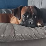 Shirley Wright - @shirley.wright.35513800 - Instagram