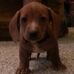 Shirley Wunderlich - Facebook