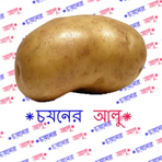 Shiuli Saha - Facebook