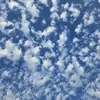 Shiv Bhatt - @shivbhatt8075 - TikTok