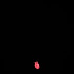 Sʜɪᴠ Bʜᴀᴛᴛ - @shivbhatt024 - Instagram