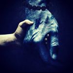 Shiv Mistry - @shivmistry755 - Instagram