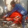 Shiv Sahani - @shiv.sahani6 - TikTok