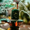 shivangi pandey - @30583696337 - TikTok