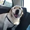 Shivani S Murthy - @shivanismurthy - TikTok