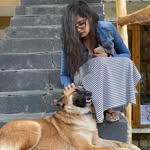 Shivani Seth - @shivani03 - Instagram