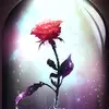 shivaniseth - @shivaniseth - TikTok