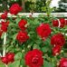 Shivendra Kumar - Facebook