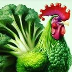 Shivendra Kumar - @shivendrakumar1225 - Instagram