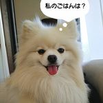 Sho Higuchi - @shobom0412 - Instagram