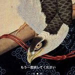 Sho Higuchi - @higuchi_sho - Instagram