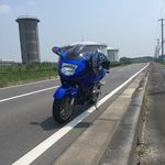 Shogo Higuchi - @higuchishogo - Instagram