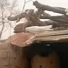 Shoaib asad - @shoaib.asad54 - TikTok