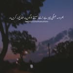 Shoaib Asad - @shoaib3606 - Instagram