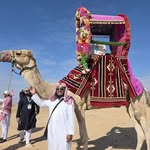 Shoaib Bin Asad - @shoaibasad988 - Instagram