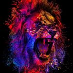 Shoaib Haroon - @shoaibharoon933 - Instagram