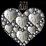 SHOAIB IQBAL - @shoaibiqbal422 - Instagram
