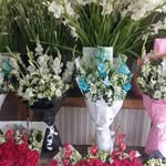 Shoaib Javed - @shoaib.javed.7169 - Instagram