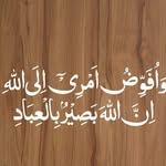 Shoaib Javed - @shoaibjaved3777 - Instagram