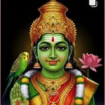 Shobha Rani - @shobha4441 - Instagram