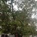Shobhit Dixit - Facebook