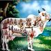 Shobhit Dixit - Facebook