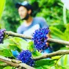 Shobhit_Mathur6 - @Shobhit_Mathur6 - TikTok
